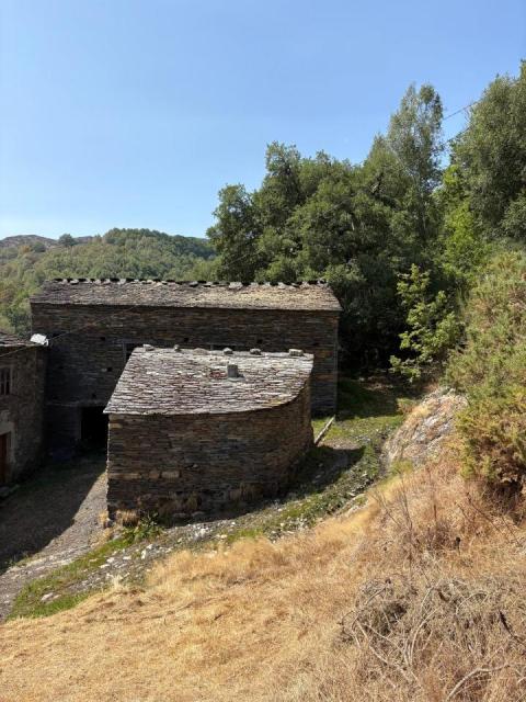 Venta - Villanueva de Oscos - Ref: C1