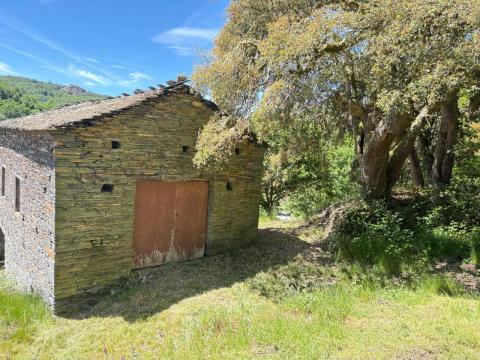 Venta - Villanueva de Oscos - Ref: C1